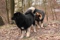 hajak-besuch (3)